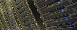 service_category_07